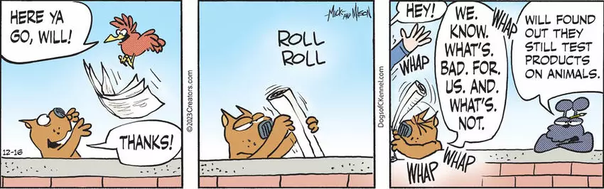 Dogs of C-Kennel for Dec 16, 2023