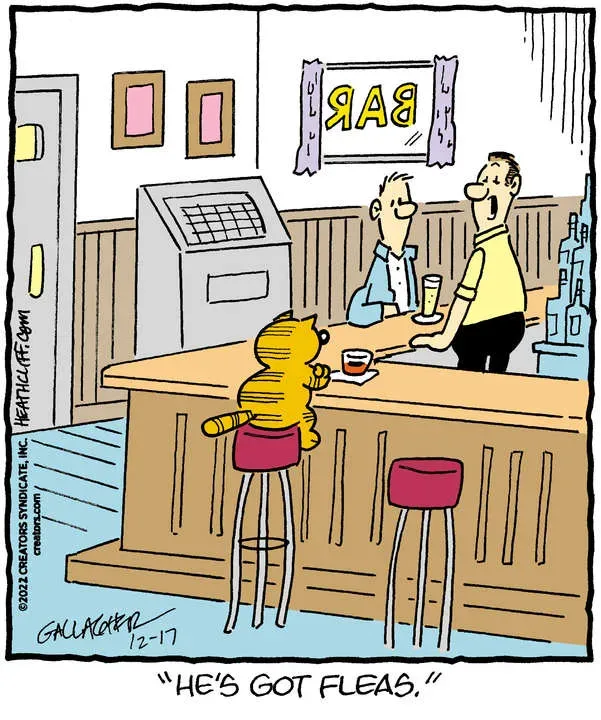 Heathcliff for Dec 17, 2022