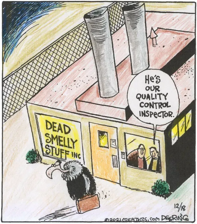 Strange Brew for Dec 18, 2021