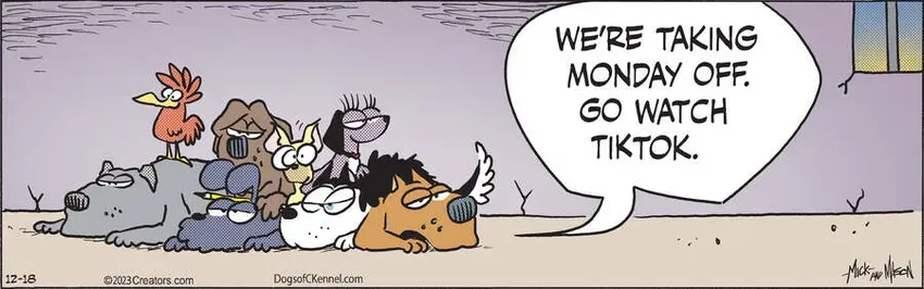 Dogs of C-Kennel for Dec 18, 2023