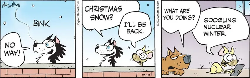 Dogs of C-Kennel for Dec 19, 2022