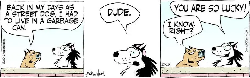 Dogs of C-Kennel for Dec 19, 2024