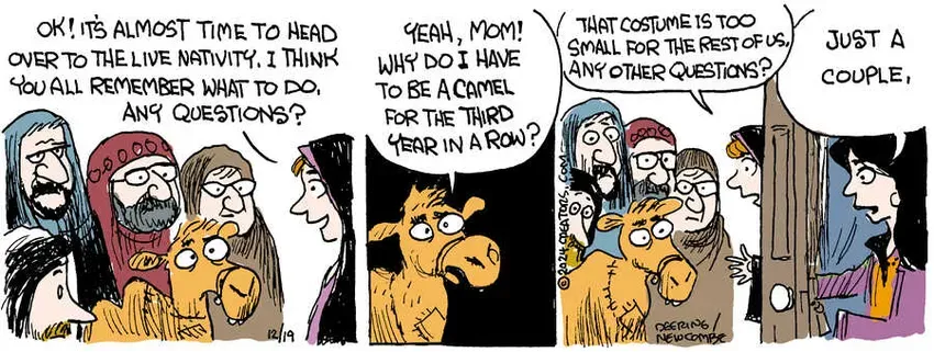 Zack Hill for Dec 19, 2024