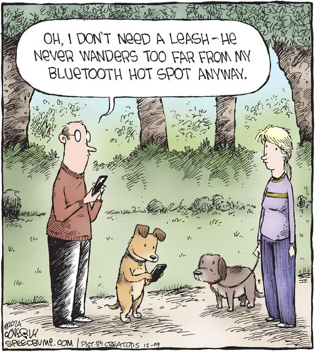 Speed Bump for Dec 19, 2024