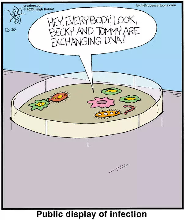 Rubes® for Dec 20, 2023