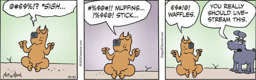 Dogs of C-Kennel for Dec 21, 2023