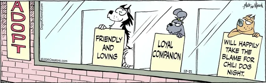 Dogs of C-Kennel for Dec 21, 2024