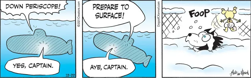 Dogs of C-Kennel for Dec 22, 2021