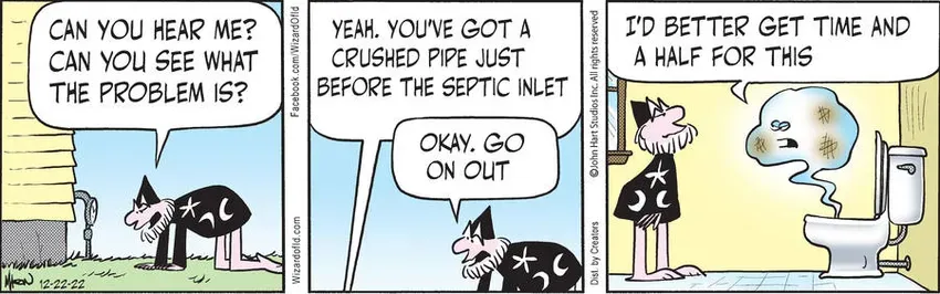 Wizard of Id for Dec 22, 2022