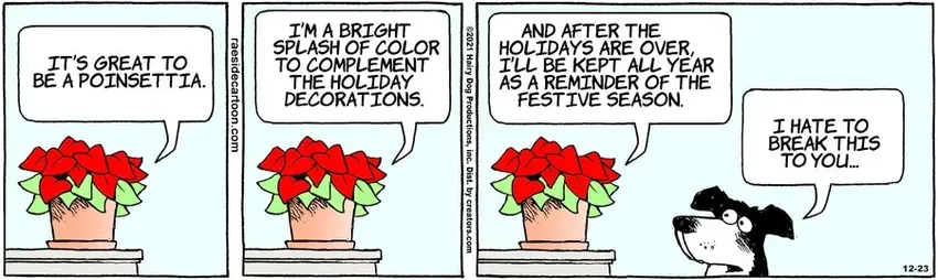 The Other Coast for Dec 23, 2021