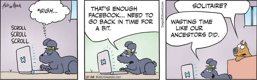 Dogs of C-Kennel for Dec 26, 2022