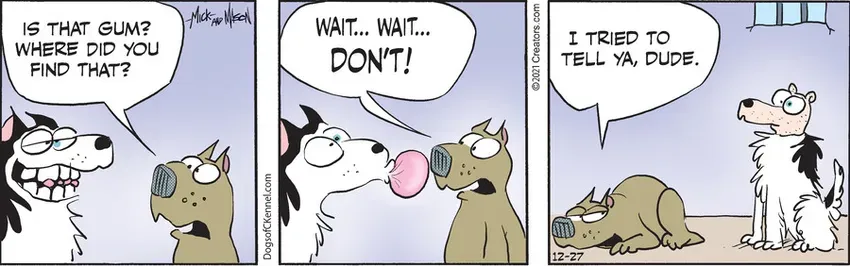 Dogs of C-Kennel for Dec 27, 2021