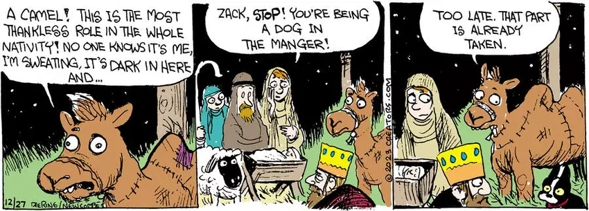 Zack Hill for Dec 27, 2023