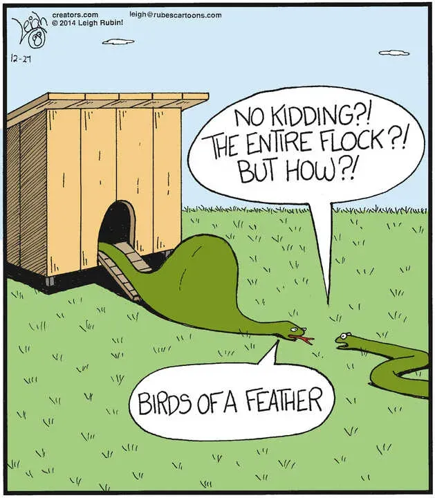 Rubes® for Dec 27, 2024