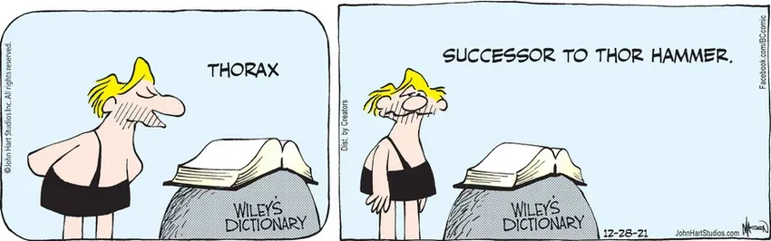 B.C. for Dec 28, 2021