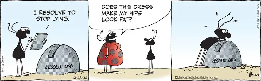 B.C. for Dec 28, 2024