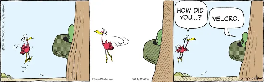 B.C. for Dec 30, 2021