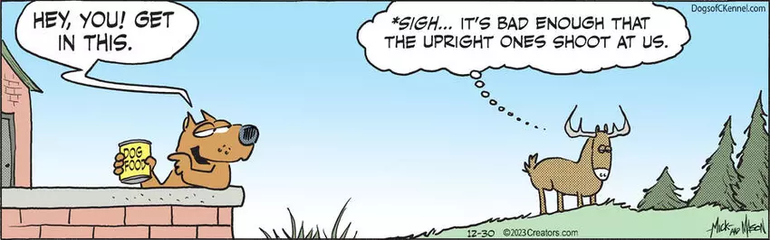 Dogs of C-Kennel for Dec 30, 2023