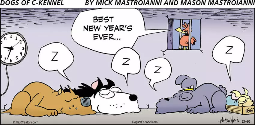 Dogs of C-Kennel for Dec 31, 2023