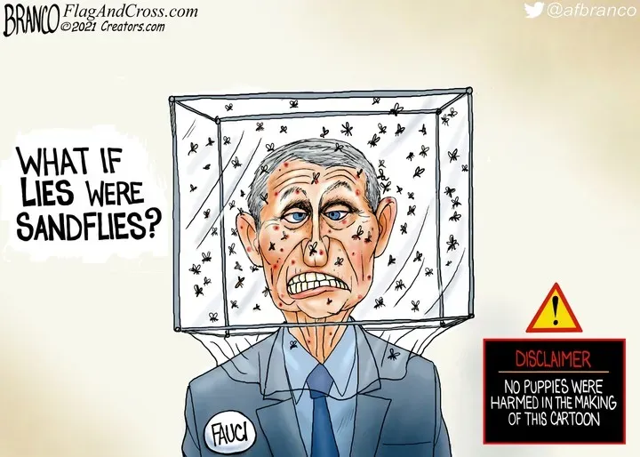 A.F. Branco for Oct 27, 2021