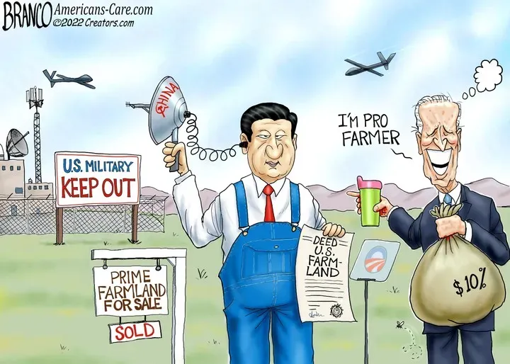 A.F. Branco for Jul 28, 2022