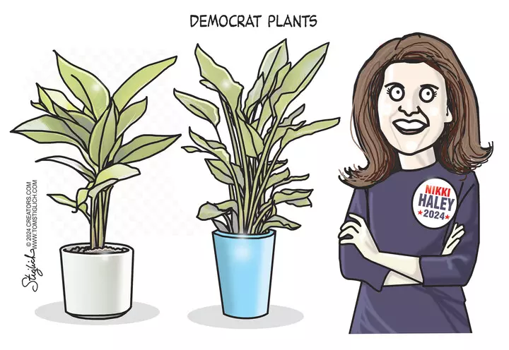 Tom Stiglich for Jan 24, 2024