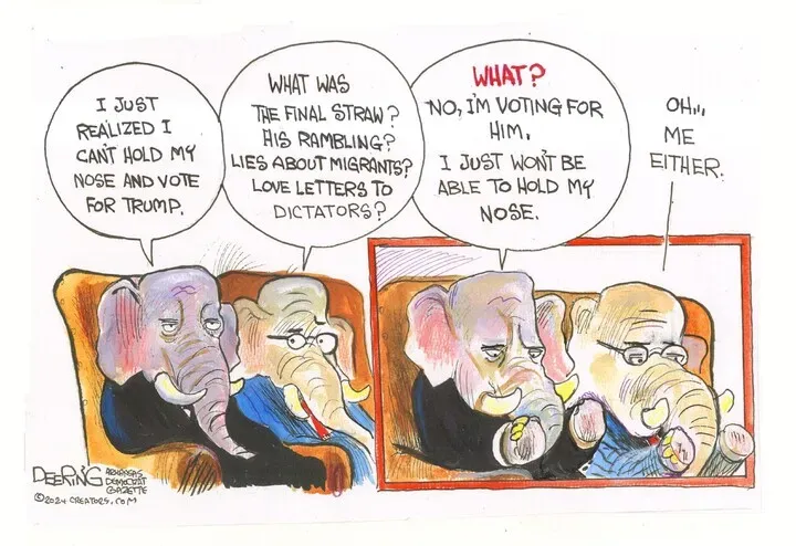 John Deering for Oct 28, 2024